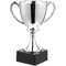 Trophy Cup Award - 8 Inch Silver Plastic Trophy for Sports Competitions Events Party Decoration